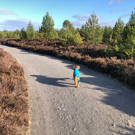 Stelvio Lägenhet Aviemore Exteriör bild